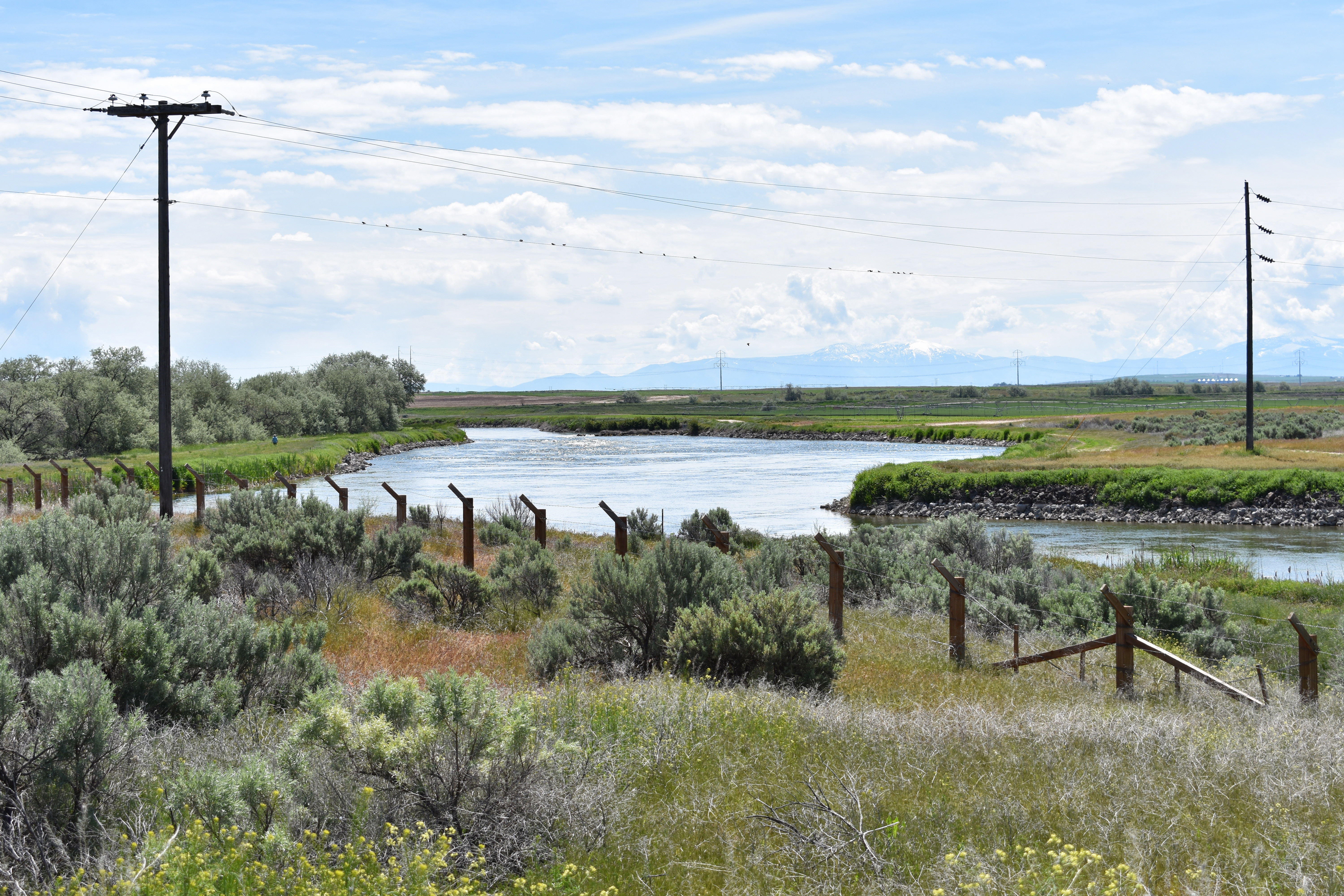 Camp fence