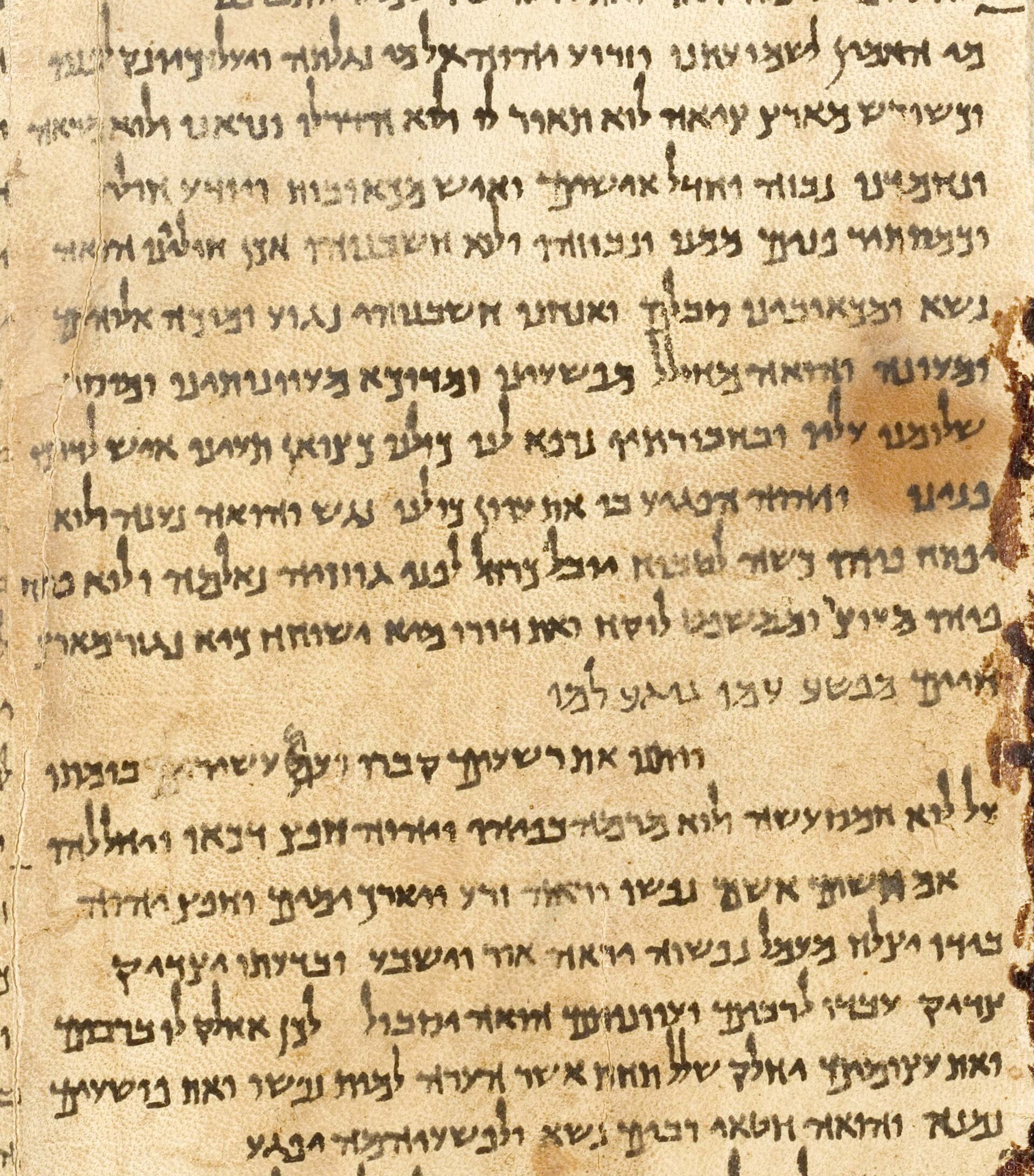 Close photograph of a column of Hebrew handwriting on yellowed parchment, with a few letters added above the lines