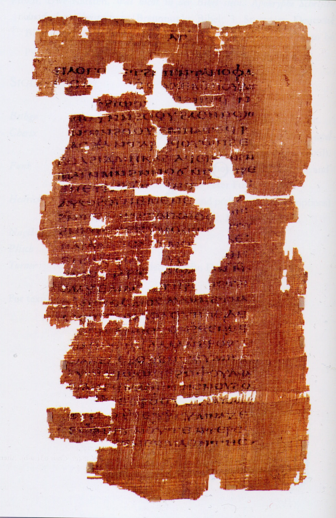 A damaged brown papyrus page with Coptic writing, broken edges and missing pieces near the bottom