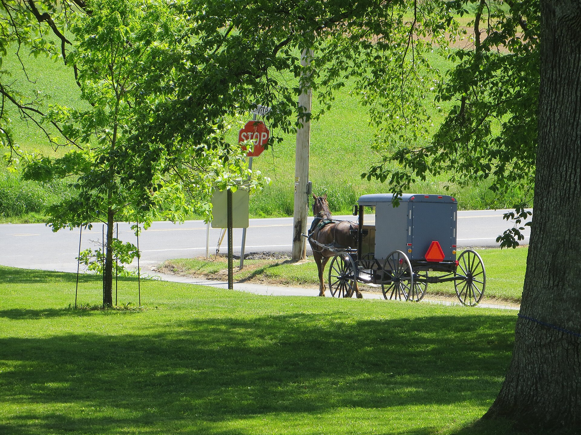 A gray-topped horse-drawn buggy moving along a paved country road past green fields and farm buildings