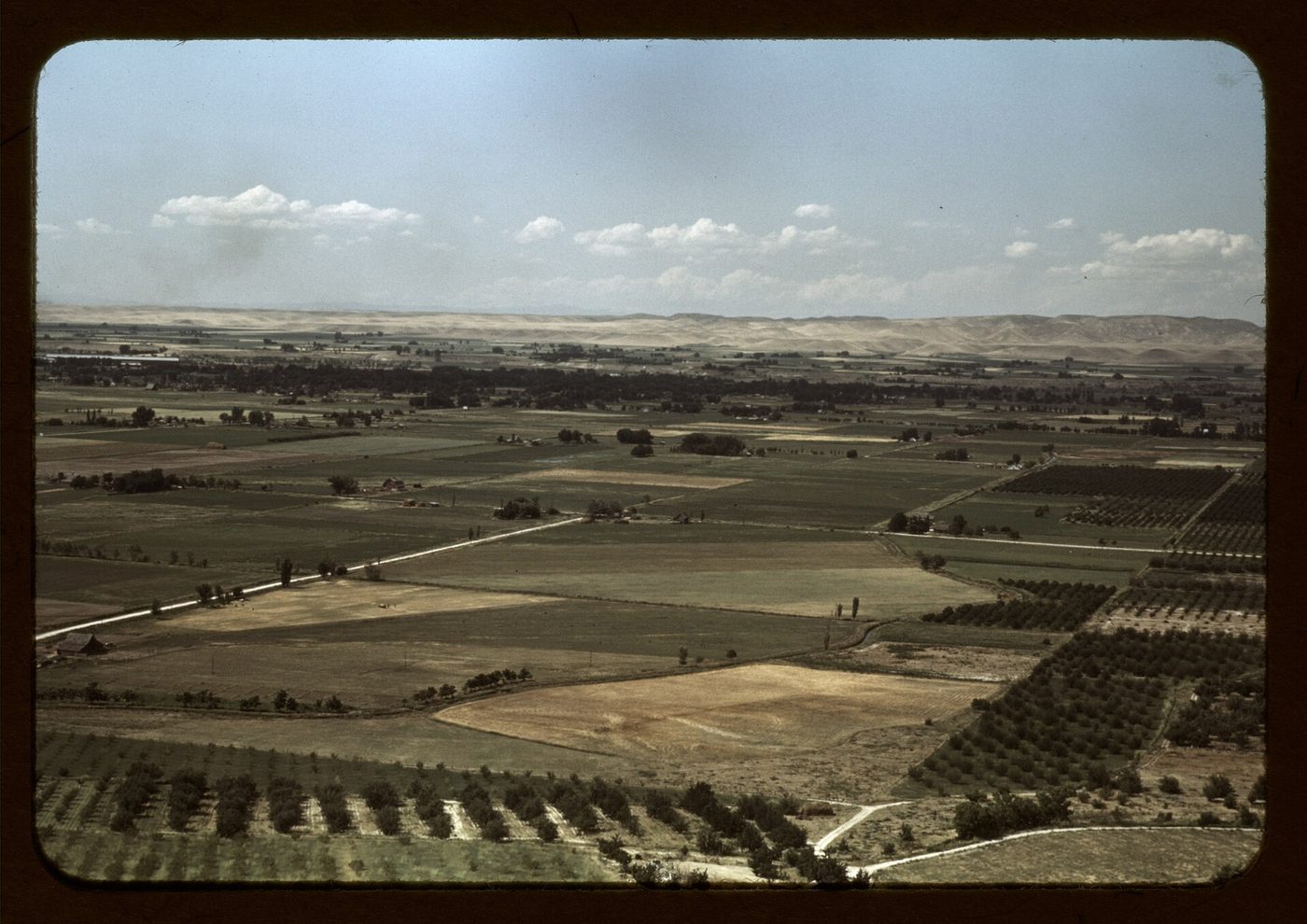 Color photograph looking down on a valley of orchards and fields, with dry hills in the distance