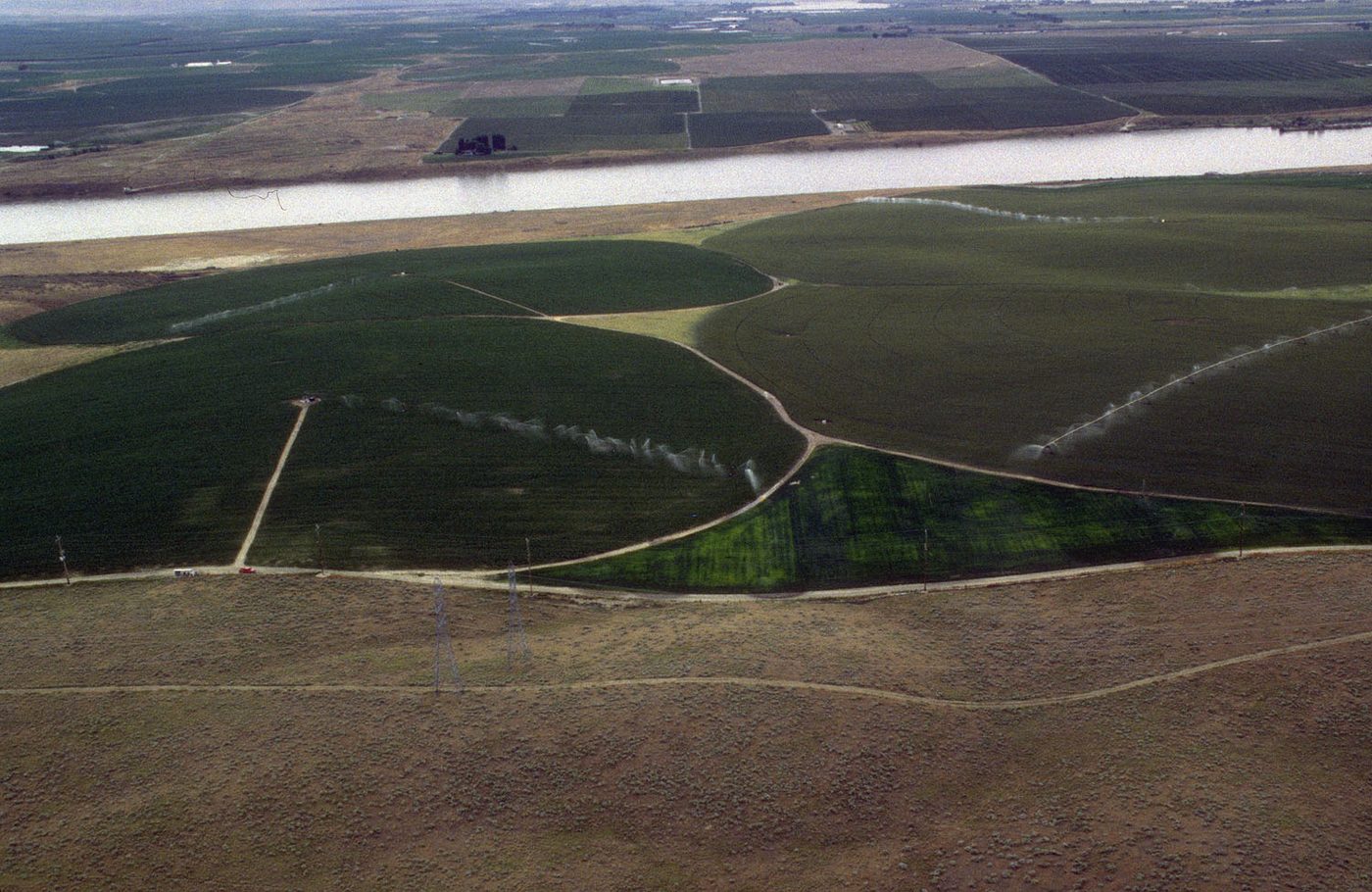 Aerial view of round green potato fields watered by center-pivot sprinklers in Idaho