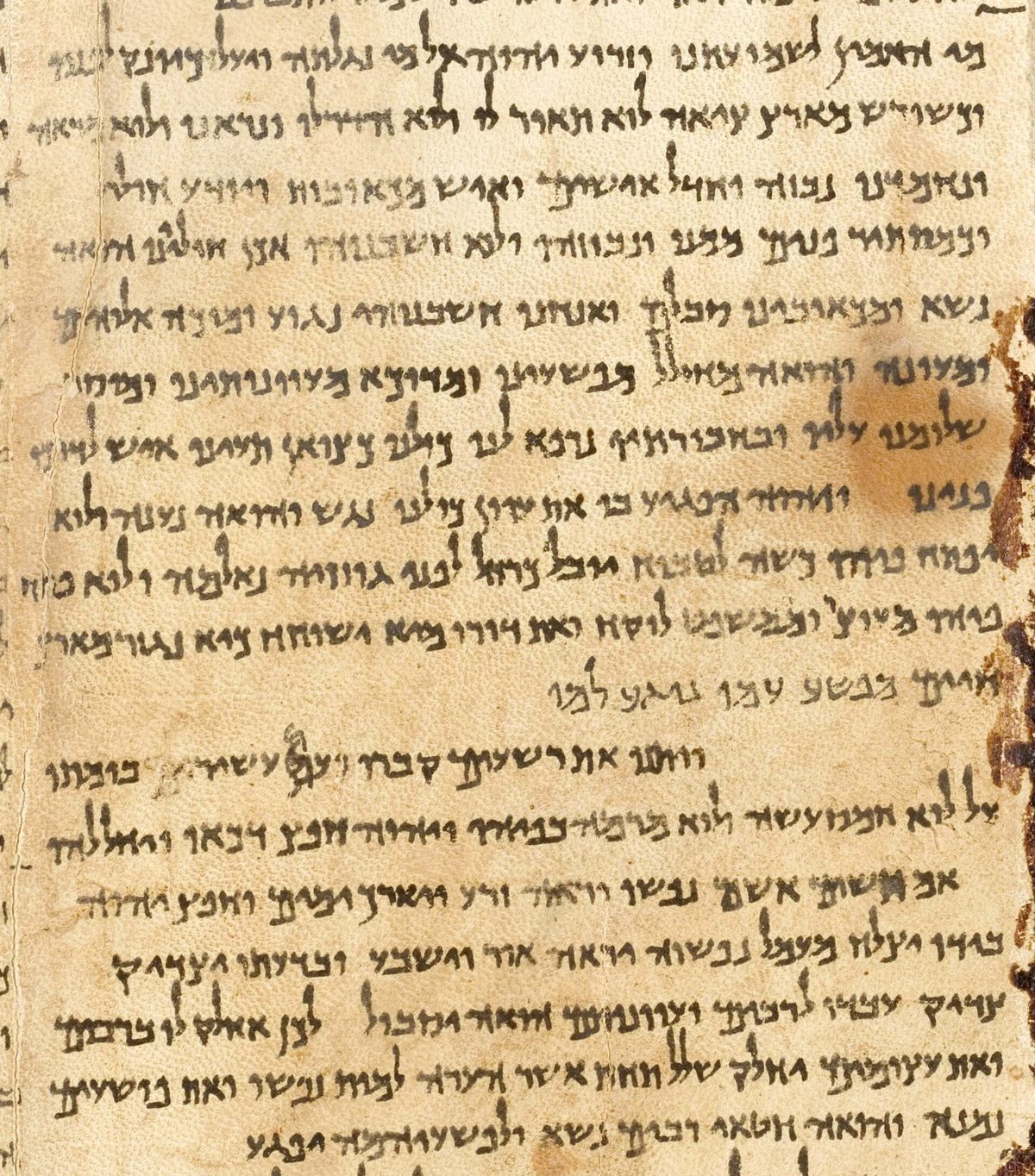 A column of the Great Isaiah Scroll, unpointed Hebrew in square script on aged leather.
