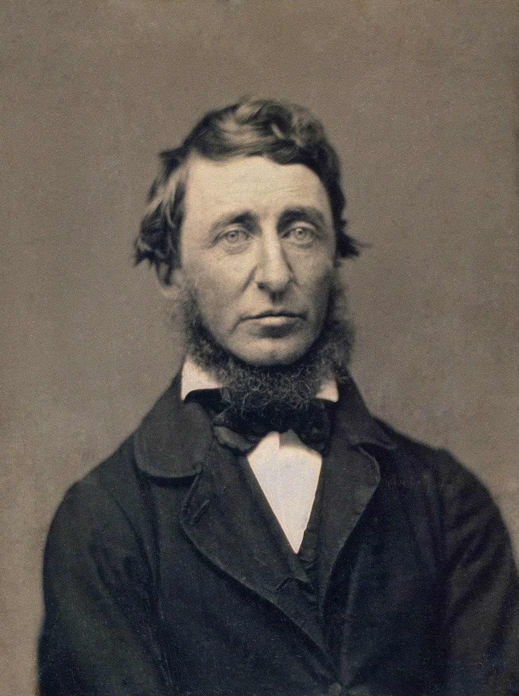 Daguerreotype portrait of Henry David Thoreau, 1856